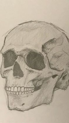 a drawing of a human skull on paper