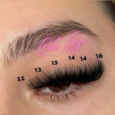 Lashes Extensions With Map, Cat Eye Lash Extensions Volume Map, Long Cat Eye Lash Extensions Map, Full Volume Lash Extensions Map, Fox Eye Eyelash Extensions Mapping, Lash Mapping Ideas, Mega Volume Hybrid Lash Extensions, Volume D Curl Lash Extensions, Cat Eye Lash Extensions With Color