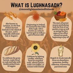 what is lughnasadh? info on the side of a brown background