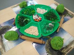 a green tray filled with different types of food on top of a wooden table next to pictures