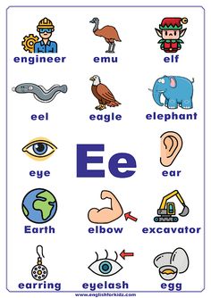 an english poster with the letters e and other things to see in this picture, including eyes