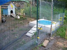 a small pool in the middle of a yard next to a dog house and fence