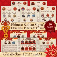 chinese zodiac signs, elements, pillars and times