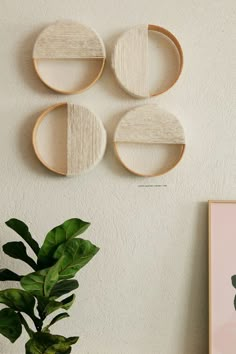 three circular wooden shelves on the wall above a potted plant and a framed photograph