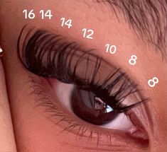 #lashextensions #lashes #lashmap B&q Lash Clusters, Classic Cateye Lashes, D Curl Lash Map, Lashes Map, Cluster Map, Fake Eyelash Makeup, Lash Maps