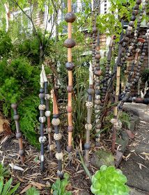 an assortment of plants and rocks in a garden