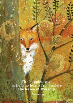 an image of a fox in the woods with a quote on it that says, the happlet man is he who learns from nature the lesson of worship