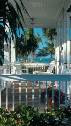 a porch with white railing and palm trees