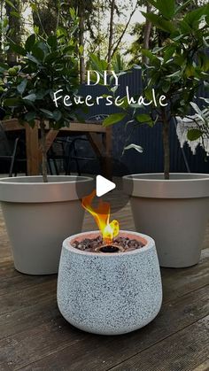 two potted plants sitting next to each other on a wooden table with the words diy feuerschale