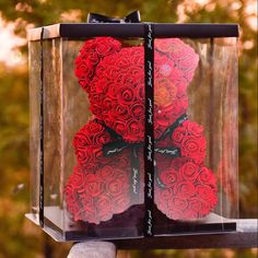 a teddy bear in a glass box with red roses on the front and back sides