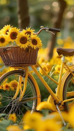 a yellow bicycle with sunflowers in the basket