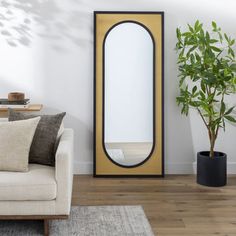 a living room with a couch, mirror and potted plant on the floor in front of it