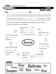 worksheet on energy and environment conservation in the united states for students to learn