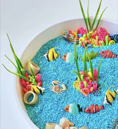 a bowl filled with lots of different types of sea animals and plants on top of blue gravel