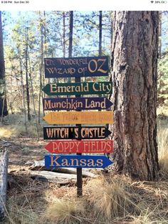 a wooden sign in the middle of a forest with many different colored signs on it