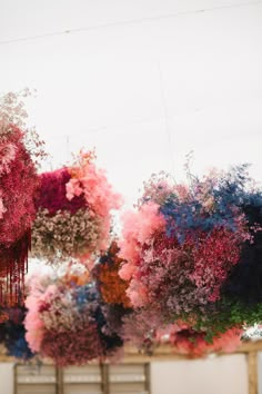 an arrangement of flowers hanging from the ceiling in front of a white wall with red, blue and pink colors