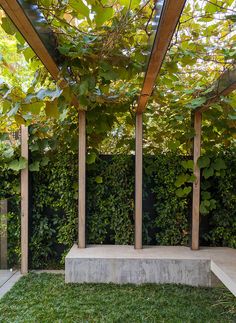 an outdoor area with green plants and concrete benches under a pergolated roof, surrounded by greenery