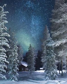 the night sky is lit up with stars above trees and snow covered ground in front of a cabin