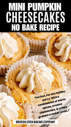 mini pumpkin cheesecakes no bake recipe on a plate with text overlay