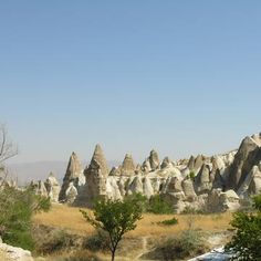 an area with many rocks and trees in the foreground, on a sunny day