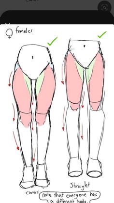 an image of how to draw legs