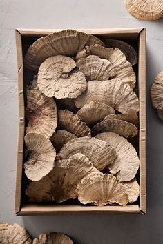 a box filled with cut up mushrooms on top of a gray table next to other pieces of wood