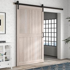 an open wooden door in a room with a rug on the floor and potted plant next to it