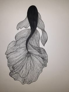 an ink drawing of a fish with long tail and large fins on it's back