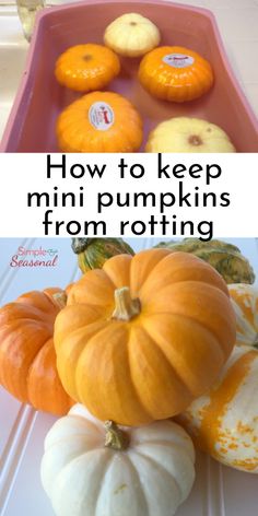 how to keep mini pumpkins from rotting in the freezer and on the tray