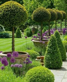 the garden is full of potted plants and trees in it's centerpieces