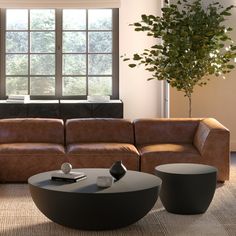 a living room filled with furniture and a plant in the corner on top of a coffee table