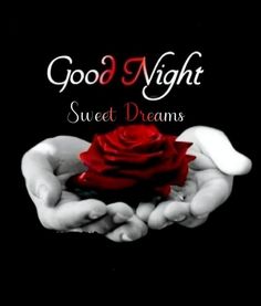 two hands holding a red rose with the words good night sweet dreams