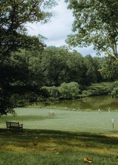 people are playing in the grass near a lake