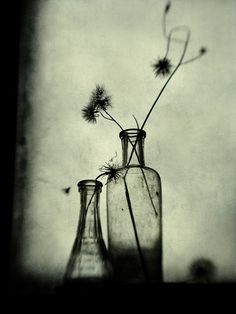 two vases with flowers in them sitting on a window sill next to each other