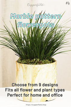 a potted plant sitting on top of a table next to a white wall with the words marble pattern flowerspots