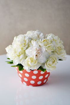 a red polka dot cup with white flowers in it