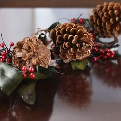 pine cones and berries are arranged on a table