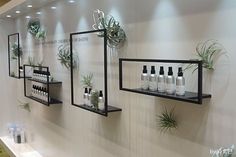 several shelves with plants and bottles on them in front of a wall mounted planter