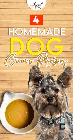 a dog sitting next to a bowl of soup on top of a wooden table with the words homemade dog gravy recipes