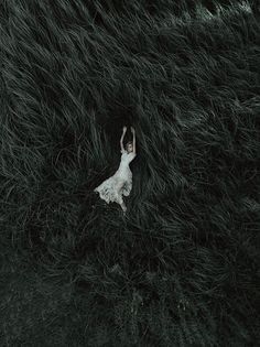 an aerial view of a woman in a white dress laying on her back surrounded by green grass