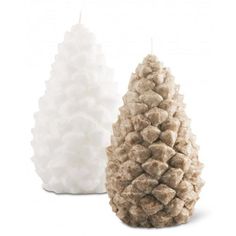 two white pine cones sitting next to each other