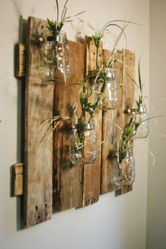 several mason jars with plants in them hanging on a wall mounted wood paneled art piece