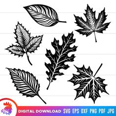 leaf silhouettes on white paper with black and white leaves in the middle, set of four