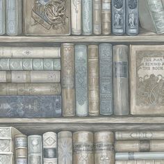 this is a drawing of books on a shelf