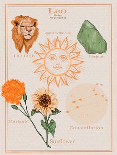 the leo zodiac sign is depicted in this hand drawn illustration, with sunflowers and other astrological symbols