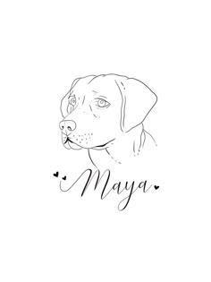 a black and white drawing of a dog's face with the word mayo on it