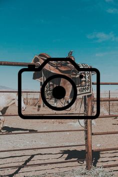 a camera is hanging on a fence in the desert