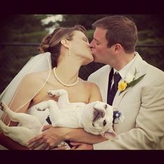 a bride and groom kissing while holding two small puppies in their arms on their wedding day