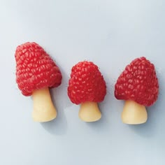 three raspberries sitting on top of each other in front of a white background