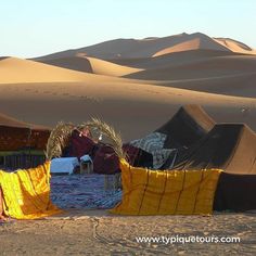 tents in the desert with sand dunes behind them